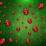 All is Full of Ladybugs