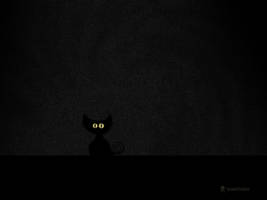 Black Cat in Dark Room