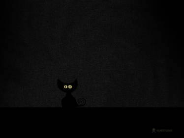 Black Cat in Dark Room