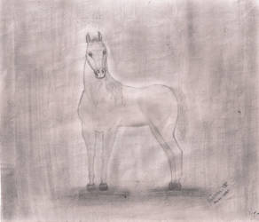 horse