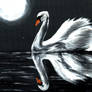 NightSwan