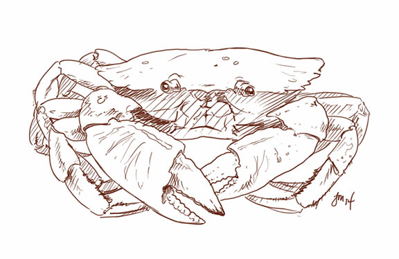 Crab