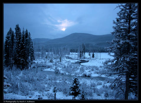 Colorado Blue by heathen-rust