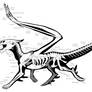 Dragon Skeleton v01
