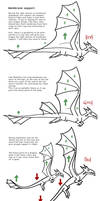 Dragon Membrane Theory v01