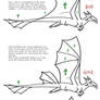 Dragon Membrane Theory v01