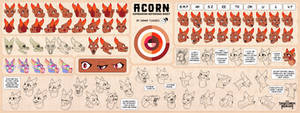 Acorn - Expression Reference Sheet - Chapter 2