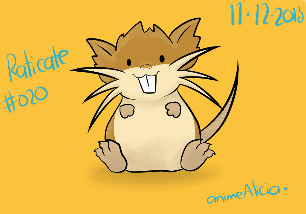 Raticate by animeAlicia99 on DeviantArt