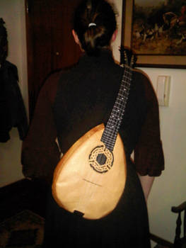 Mandolin Shoulder Bag 2