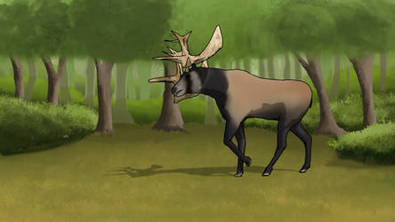 Stag Moose