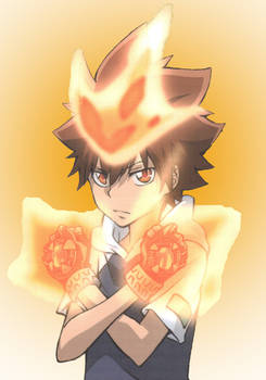 Tsuna The Judaime Vongola 2