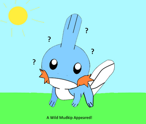 Mudkip