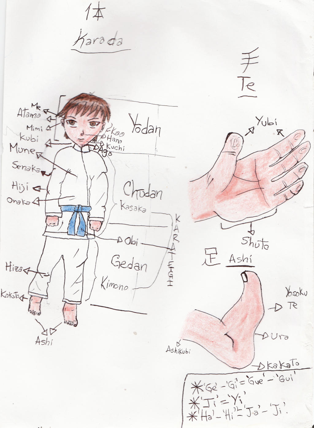 Cuerpo humano-nombre en japones-lenguaje de Karate by SonGohanBrief on  DeviantArt