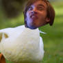 Pewds the Duck