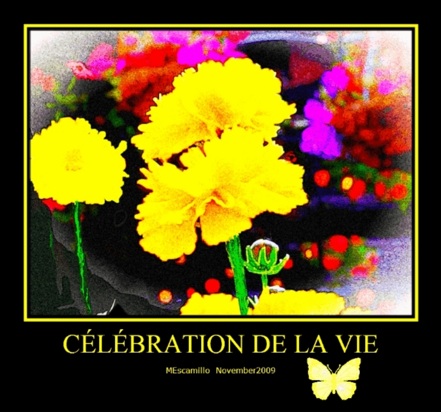 Celebration of Life