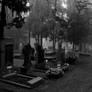 Maastricht's old cemetery