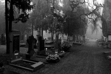 Maastricht's old cemetery