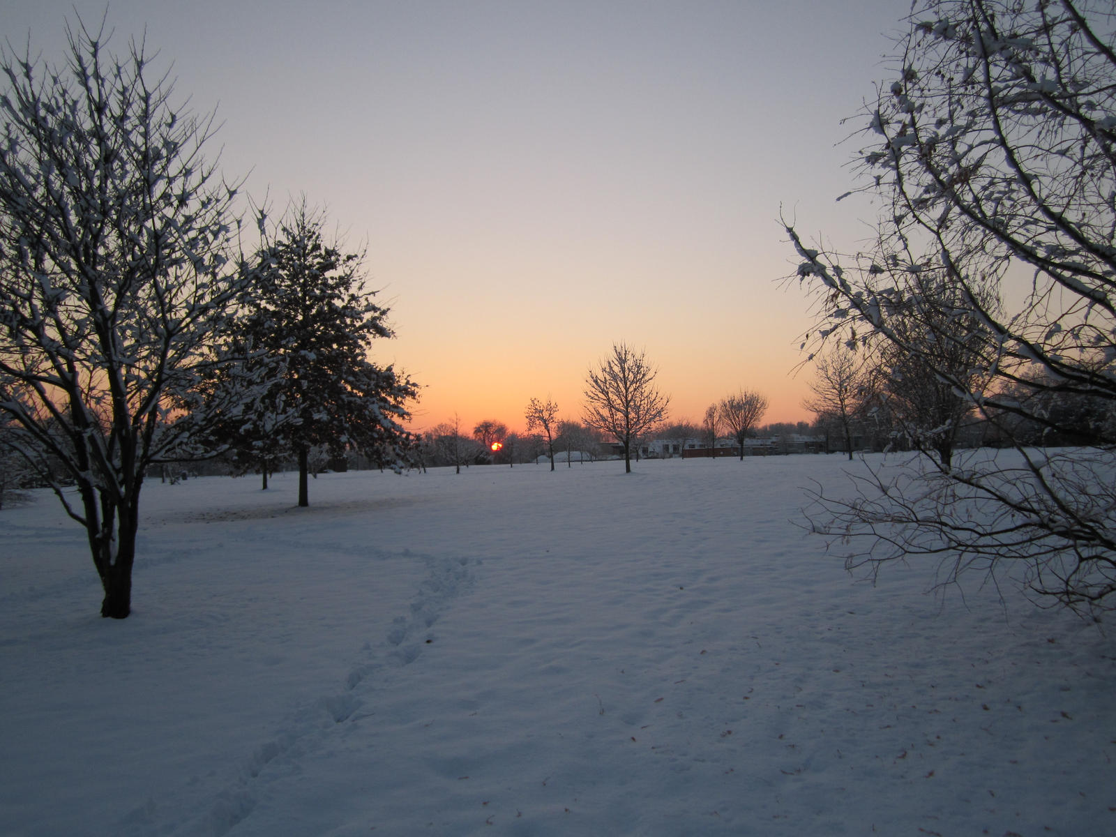 Snowscapes #1: Sunset in the Park