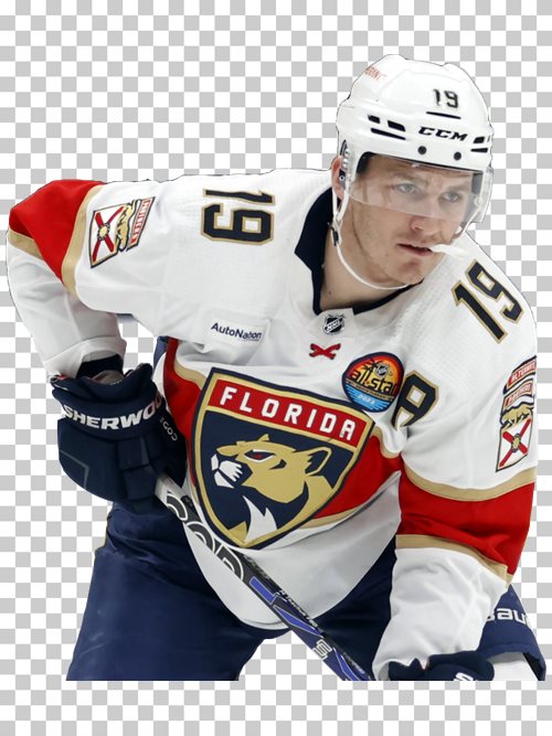 Download Florida Panthers Hockey Players Wallpaper