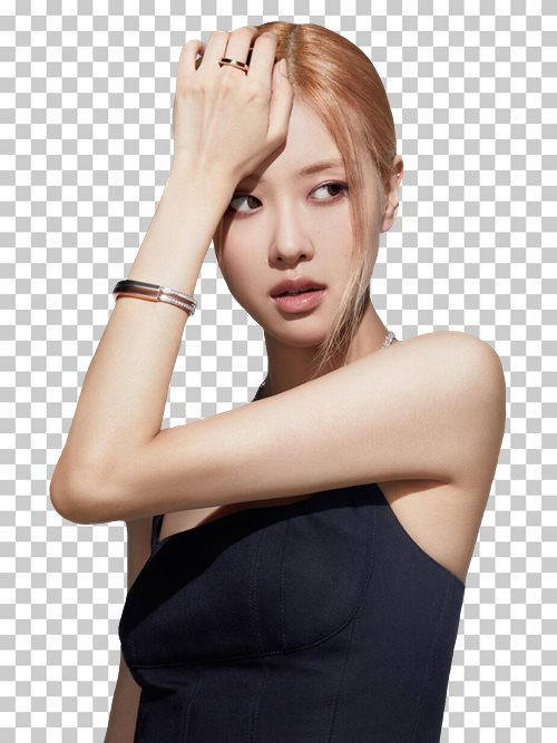 Singer Roses Acount Rose-singers-south-korea-south-korean-singers-rose by uniqrenders on ...