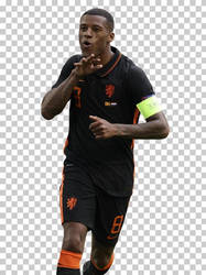 Georginio-wijnaldum-netherlands-national-football-