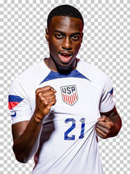 Timothy-weah-united-states-national-soccer-team-co by uniqrenders, visual art