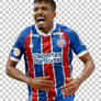 Vinicius-mingotti-bahia-brazilian-serie-a-brazil-b