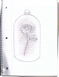 Beauty and the Beast: Beast's rose.