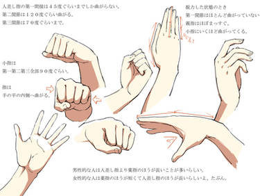 Hands Anatomy v2