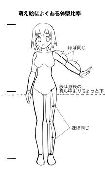 Body Proportions