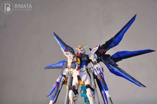 Strike Freedom