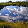 Reflecting - Pond