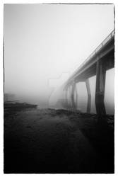 Foggy Bridge