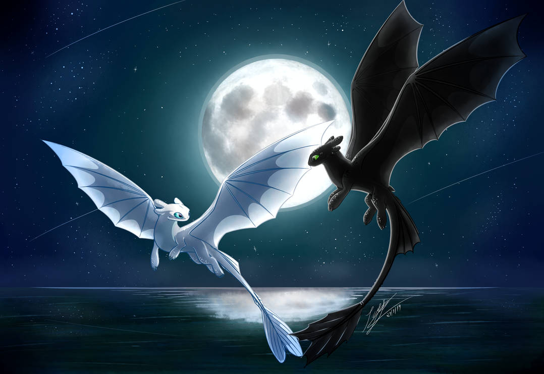 Toothless and The Light Fury by BitXia on DeviantArt