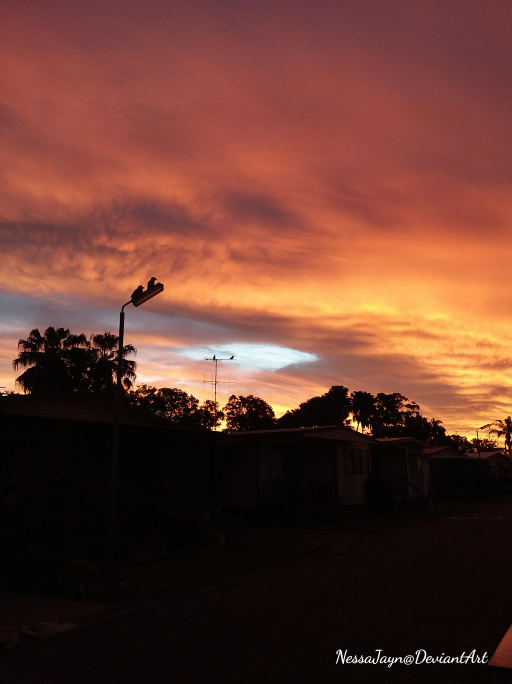 Winter Evenings In June