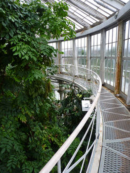 Palm tree top walkway