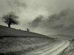 To Land of Grief by proama
