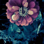 Together. by proama