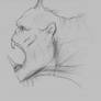 ORC sketch