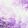 Sakura, Cherry Blossoms GIF