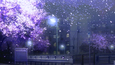 GIF Sakura, Cherry Blossoms in the Night by Degonia on DeviantArt