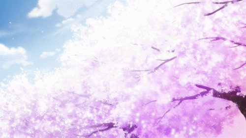Sakura, Cherry Blossom - Gif AICO by Degonia on DeviantArt