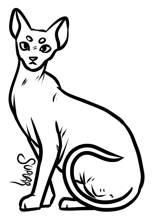 f2u hairless cat base by supurrnovae on DeviantArt