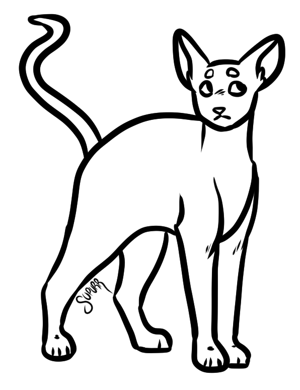 f2u cat base by supurrnovae on DeviantArt