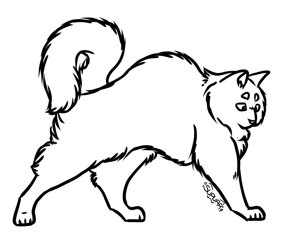 f2u fluffy cat base by supurrnovae on DeviantArt