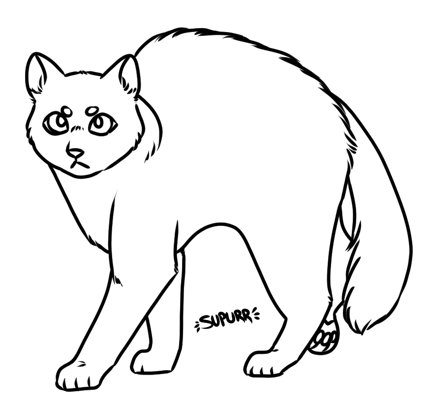 f2u cat base by supurrnovae on DeviantArt