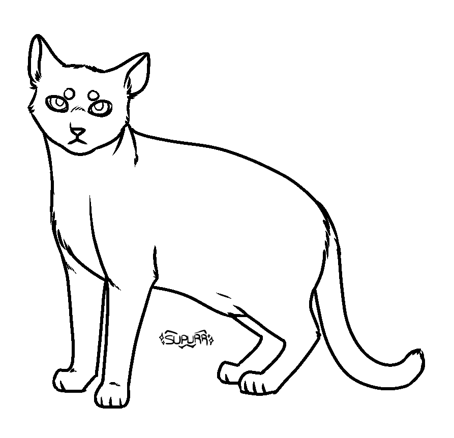 f2u cat base by supurrnovae on DeviantArt