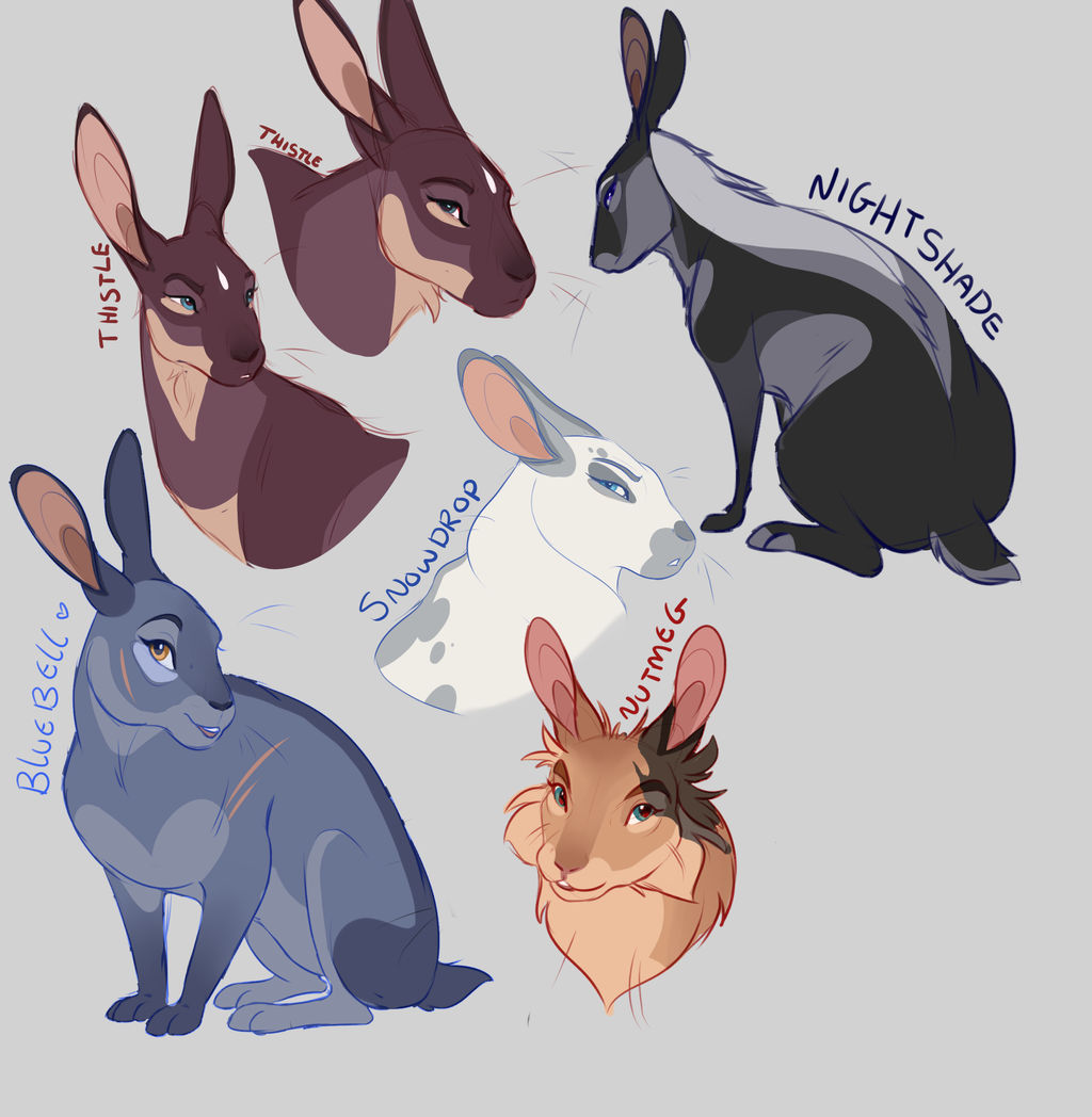 Rabbit Sketches by tallix on DeviantArt