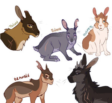 Talens Rabbits tallix - Student, Artist | DeviantArt