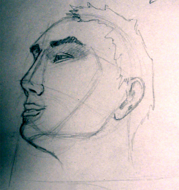 facial construction by firefly62984 on DeviantArt